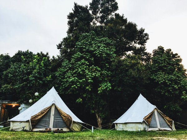 Quels sont les meilleurs endroits pour une expérience de glamping en Afrique du Sud ?